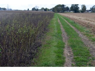 Property photo 25 - EHLE FARMS AUCTION - 118+/- ACRES IN 9 TRACTS IN ALLEN COUNTY, INDIANA